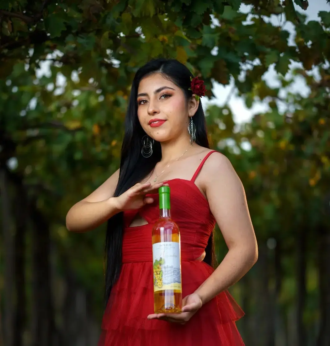 Viñedos Don José