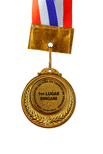 Medalla 1er Lugar