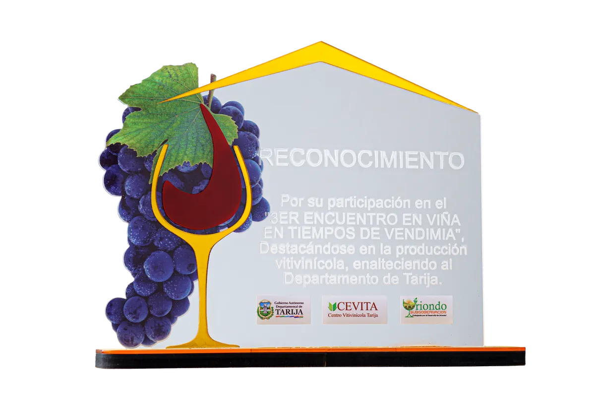 Reconocimiento 2019