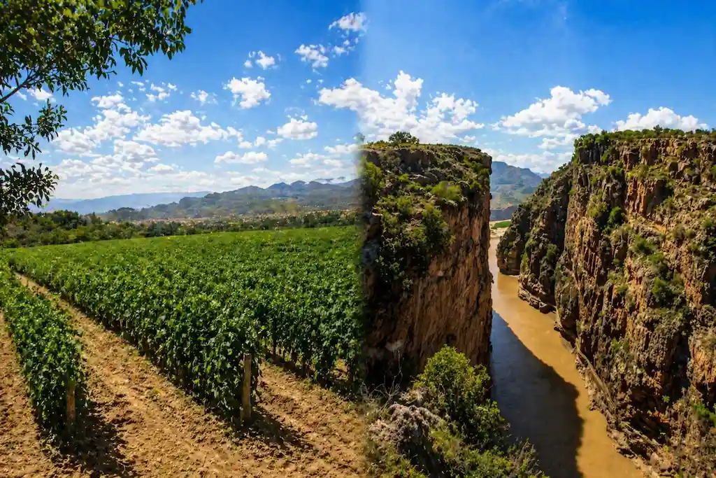 Viñedos Valle de la Concepción, Tarija